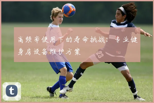 高频率使用下的寿命挑战：专业健身房设备维护方案